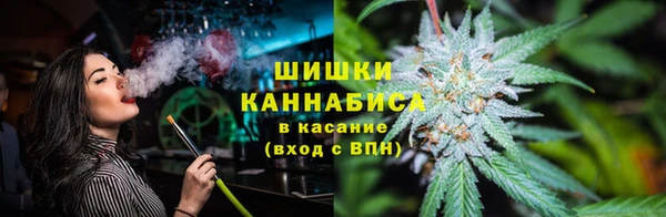 тгк Новодвинск