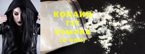 дмт Новозыбков