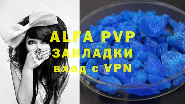 тгк Новодвинск