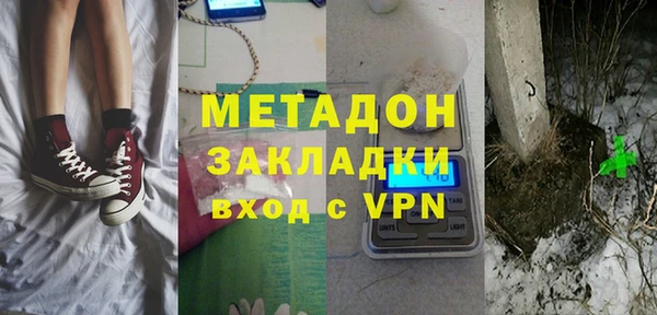 хмурый Ельня