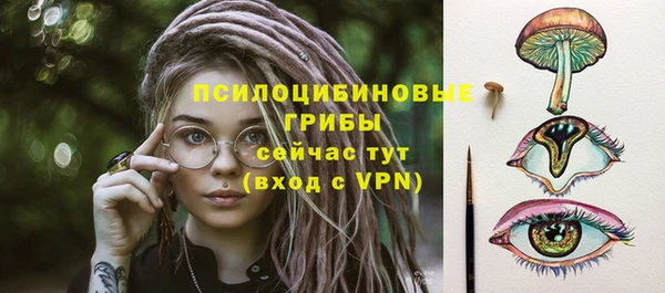 мяу мяу мука Абаза