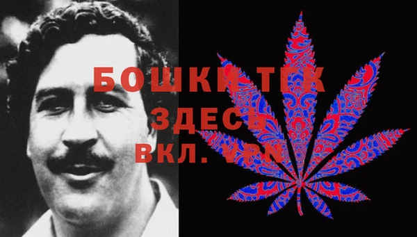 тгк Новодвинск