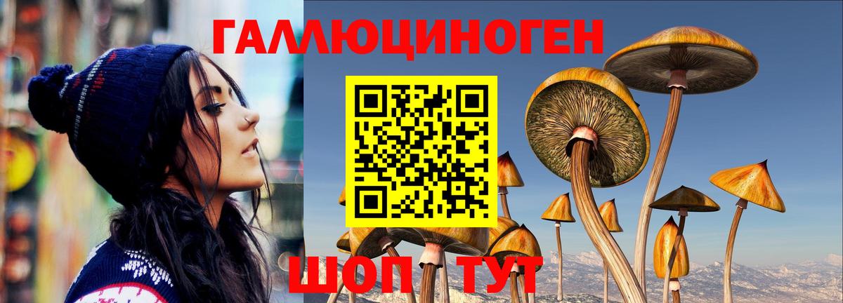 Псилоцибиновые грибы GOLDEN TEACHER  Галлюциногенные грибы Psilocybine cubensis  Азнакаево  Вход с VPN 