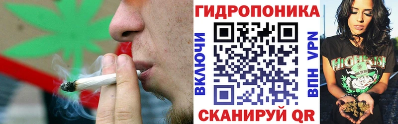 дарнет шоп  Азнакаево  Шишки марихуана план 